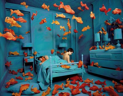 Revenge of the Goldfish by Sandra Skoglund